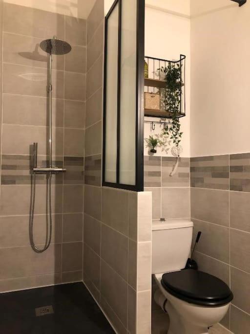 Studio Au Pied De La Cite Каркассон Экстерьер фото